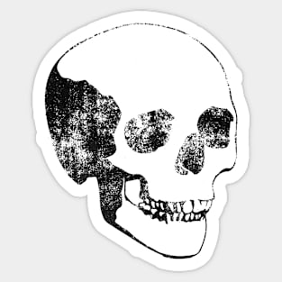 Skull Sticker